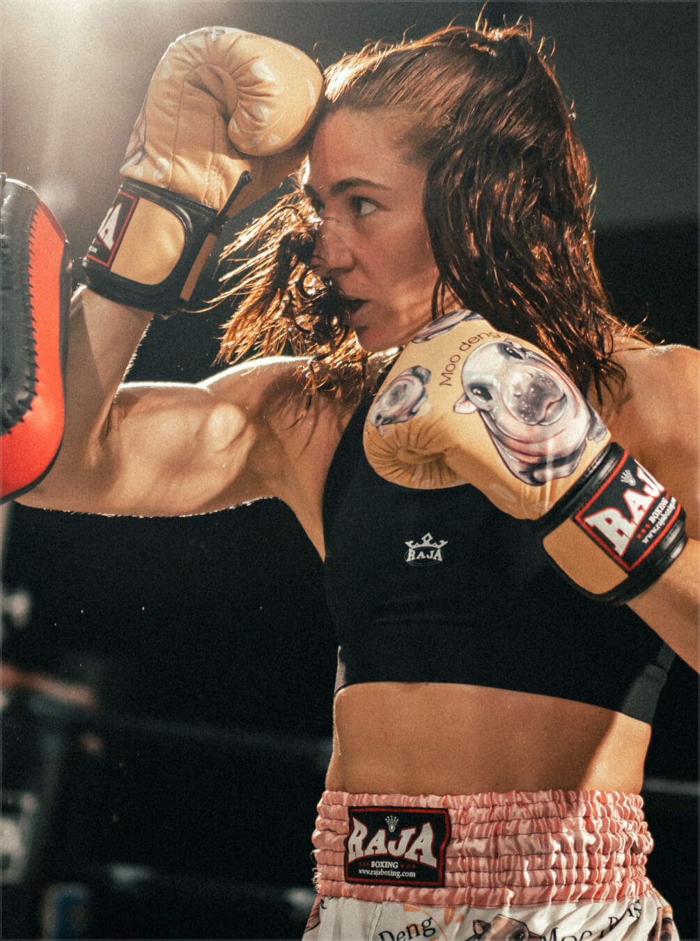 boxer